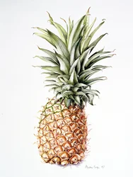 Ananas, 1997